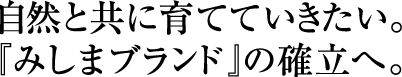 みしまブランド