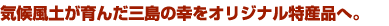 �u�����h�o�[04